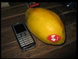 吃瓜的台湾网红是谁啊,吃瓜成瘾的台湾网红是谁？