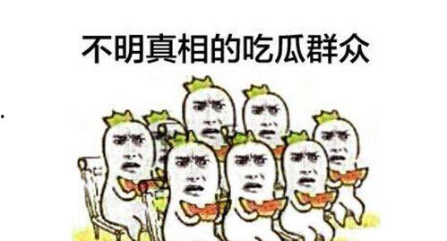 吃瓜群众的网语怎么说,吃瓜群众视角下的网络文化现象