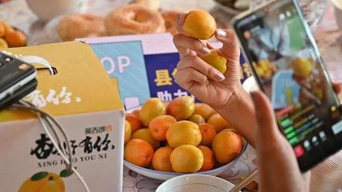 新疆网红吃瓜事件后续,真相发酵，网络舆论再掀波澜