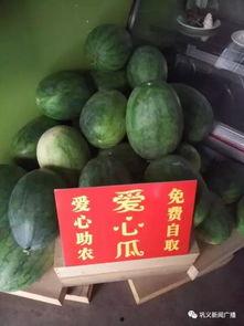 巩义吃瓜爆料网红视频,幕后故事大曝光