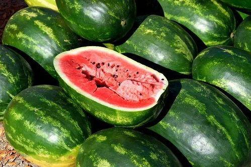 在哪找吃瓜视频素材网,全网热门吃瓜视频素材网站大汇总